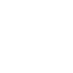 Next logo